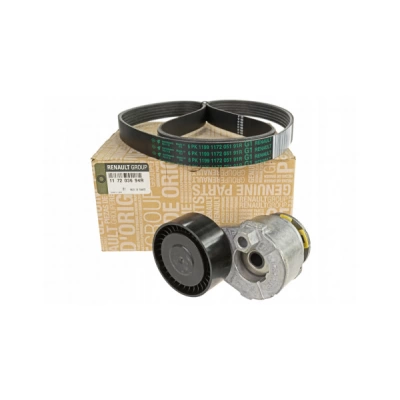 KIT TRANSMISIE DE ORIGINE 117203694R