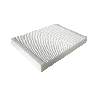 FILTRU HABITACLU