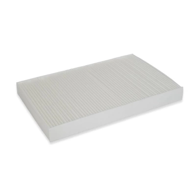FILTRU HABITACLU