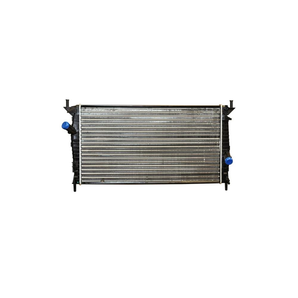 RADIATOR MOTOR
