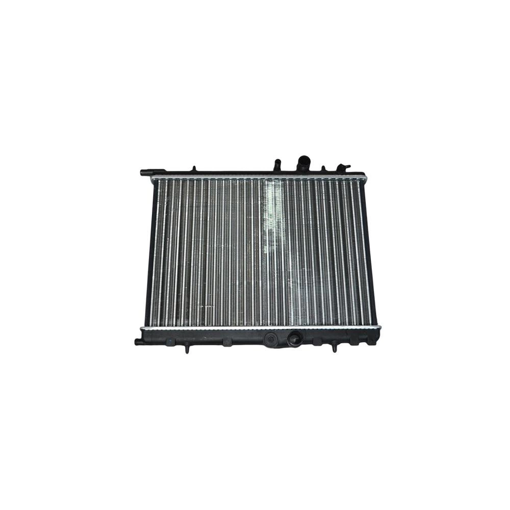 RADIATOR MOTOR