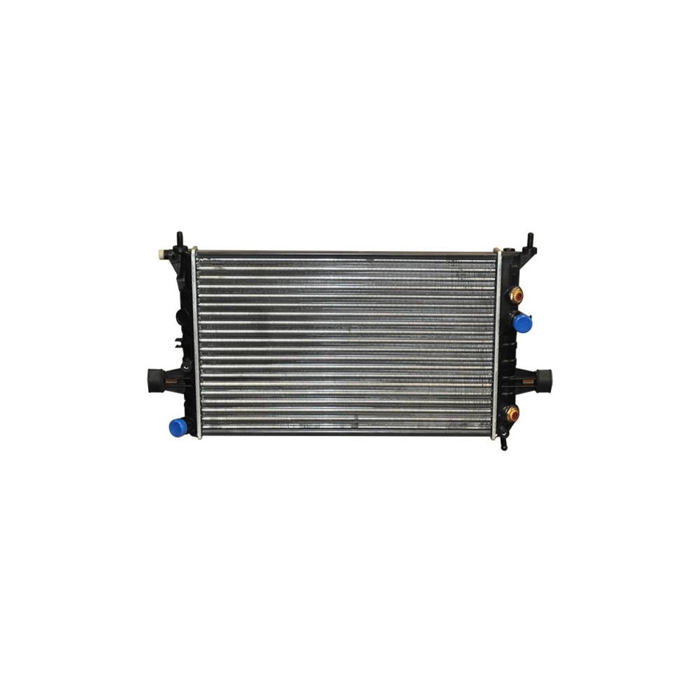 RADIATOR MOTOR
