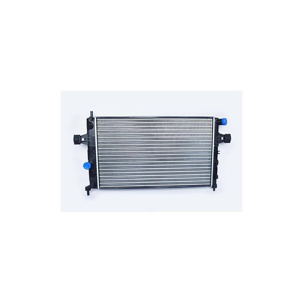 RADIATOR MOTOR