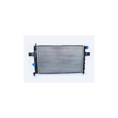 RADIATOR MOTOR