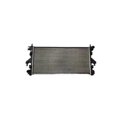 RADIATOR MOTOR