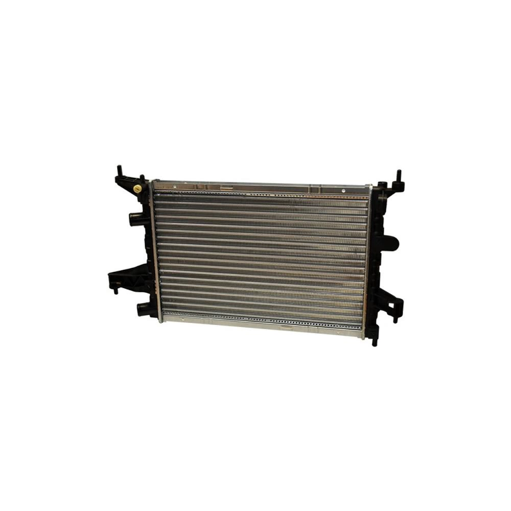 RADIATOR MOTOR