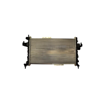 RADIATOR MOTOR