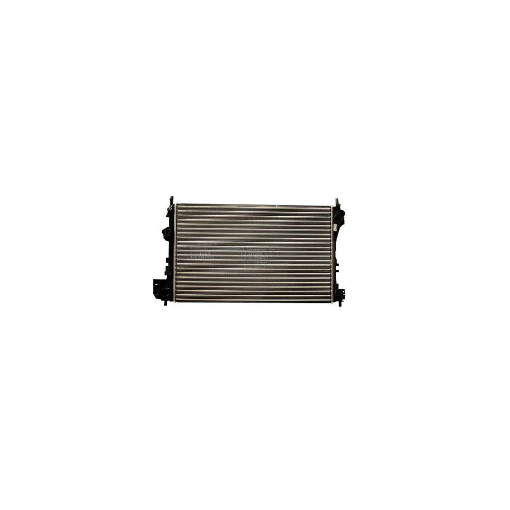 RADIATOR MOTOR