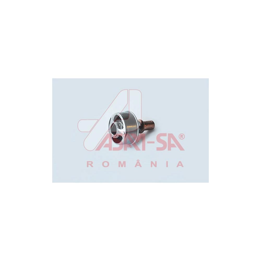TERMOSTAT D1310