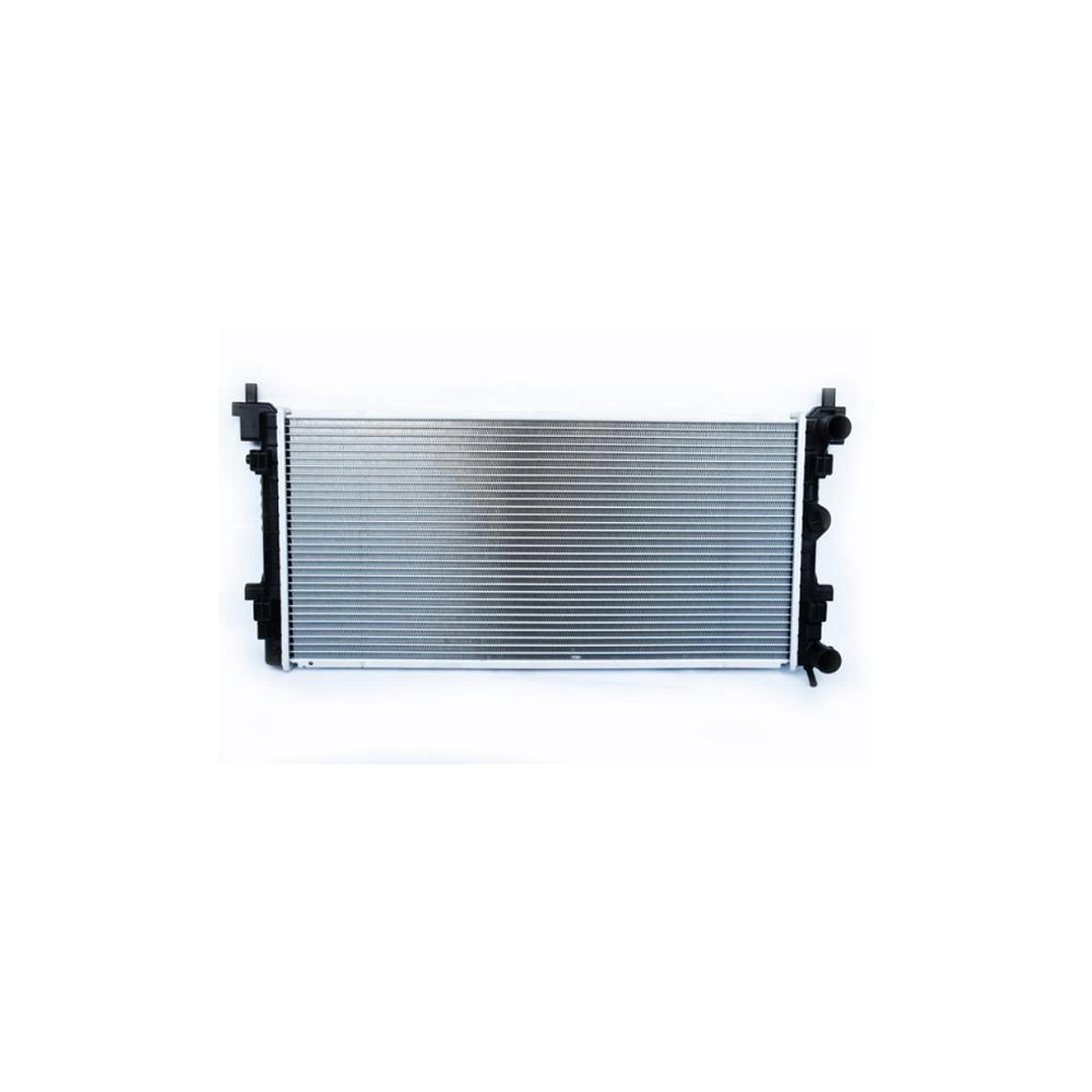 RADIATOR MOTOR