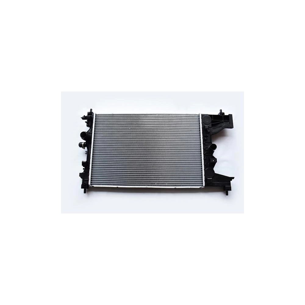 RADIATOR MOTOR
