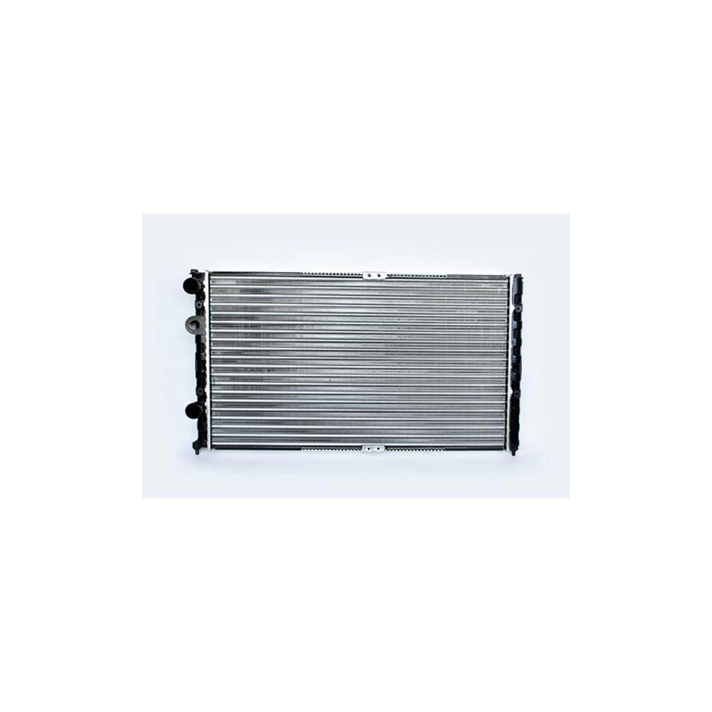 RADIATOR MOTOR