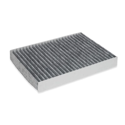 FILTRU HABITACLU