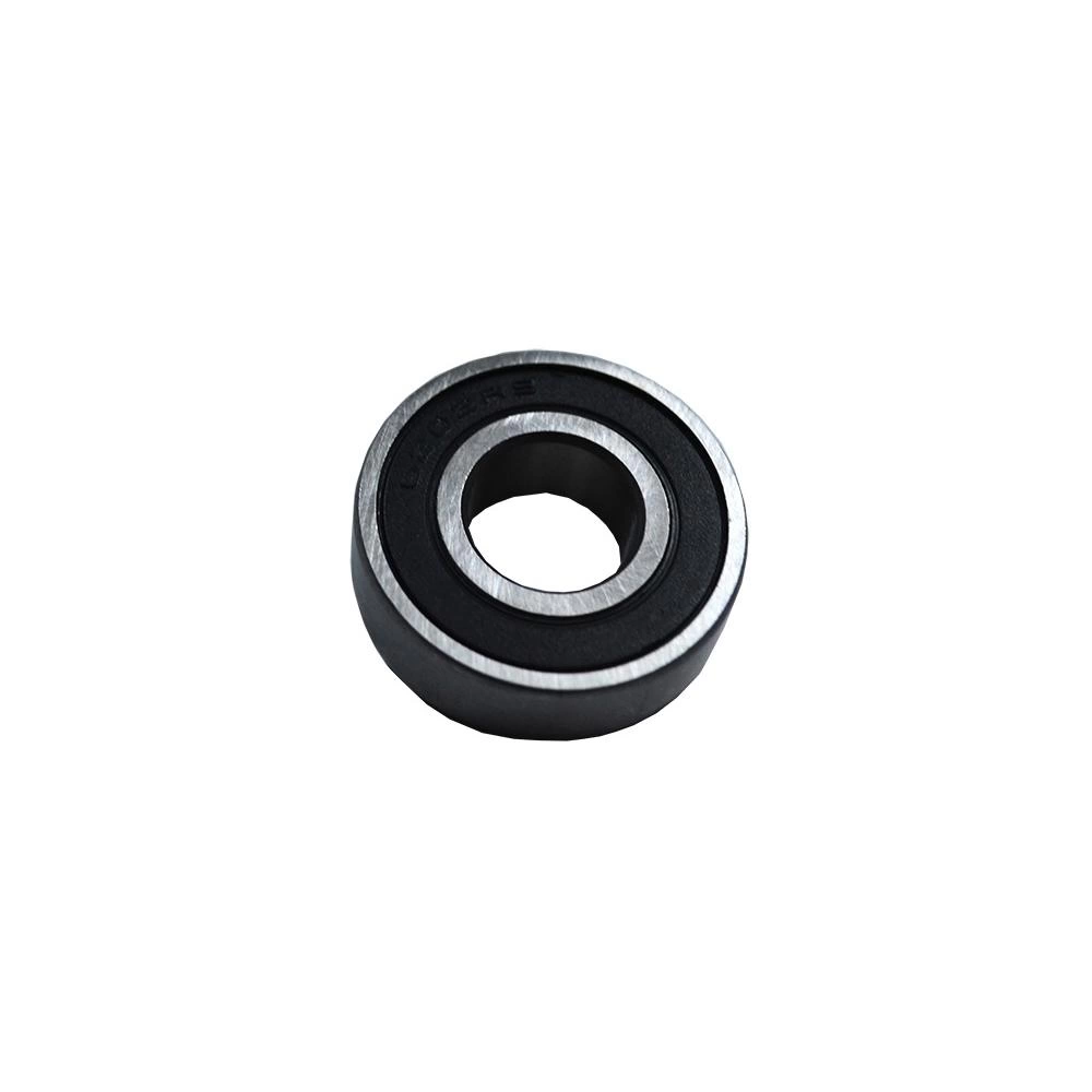 RULMENT 6202 CAPAC POMPA APA D1310