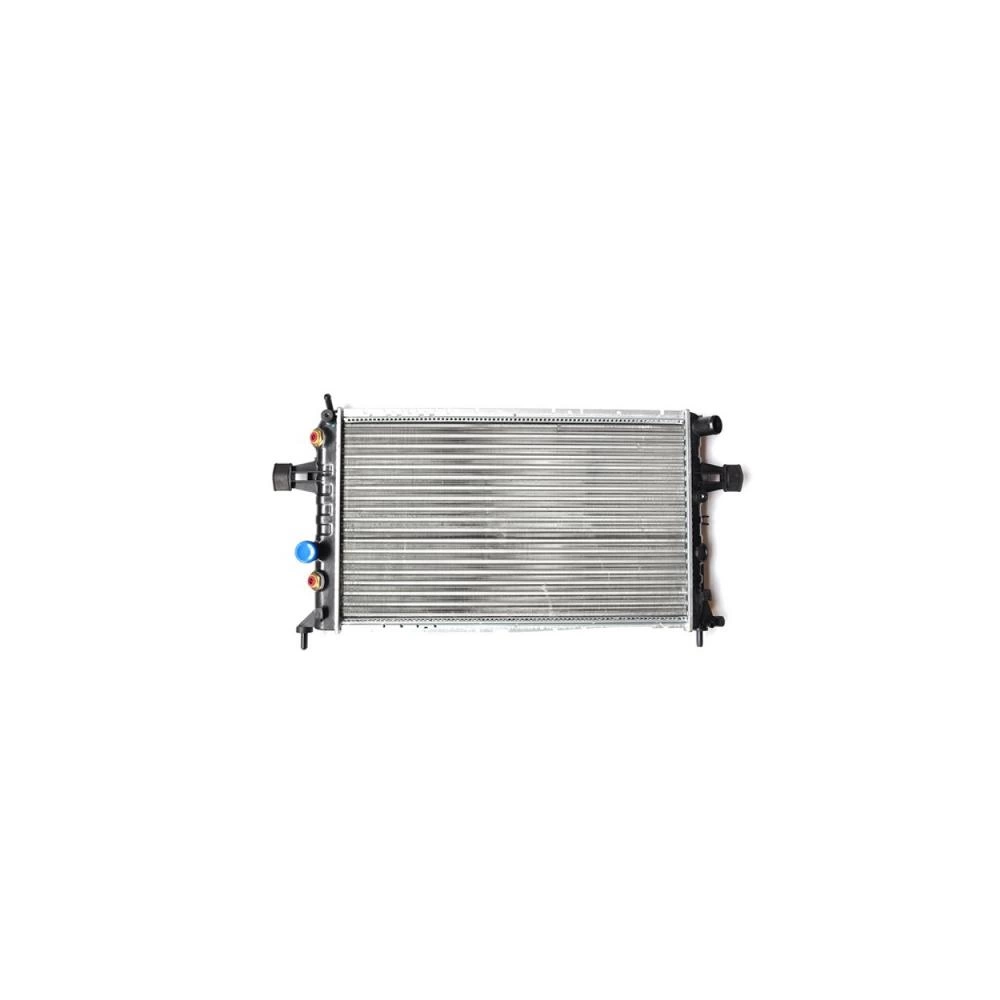 RADIATOR MOTOR