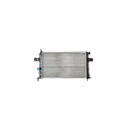 RADIATOR MOTOR