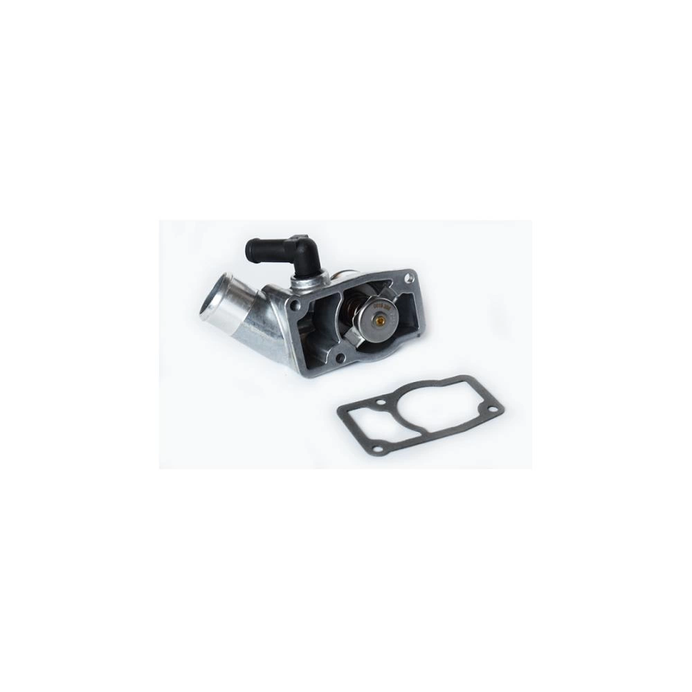 TERMOSTAT LICHID RACIRE