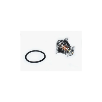 TERMOSTAT LICHID RACIRE