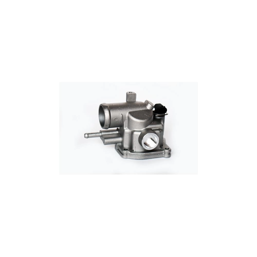 TERMOSTAT LICHID RACIRE