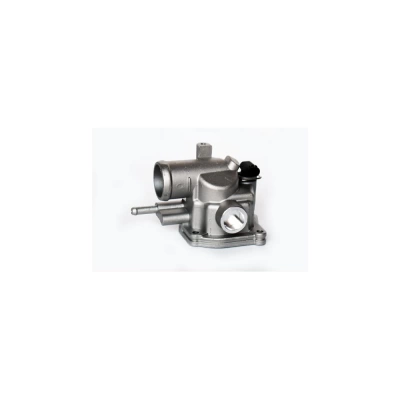 TERMOSTAT LICHID RACIRE
