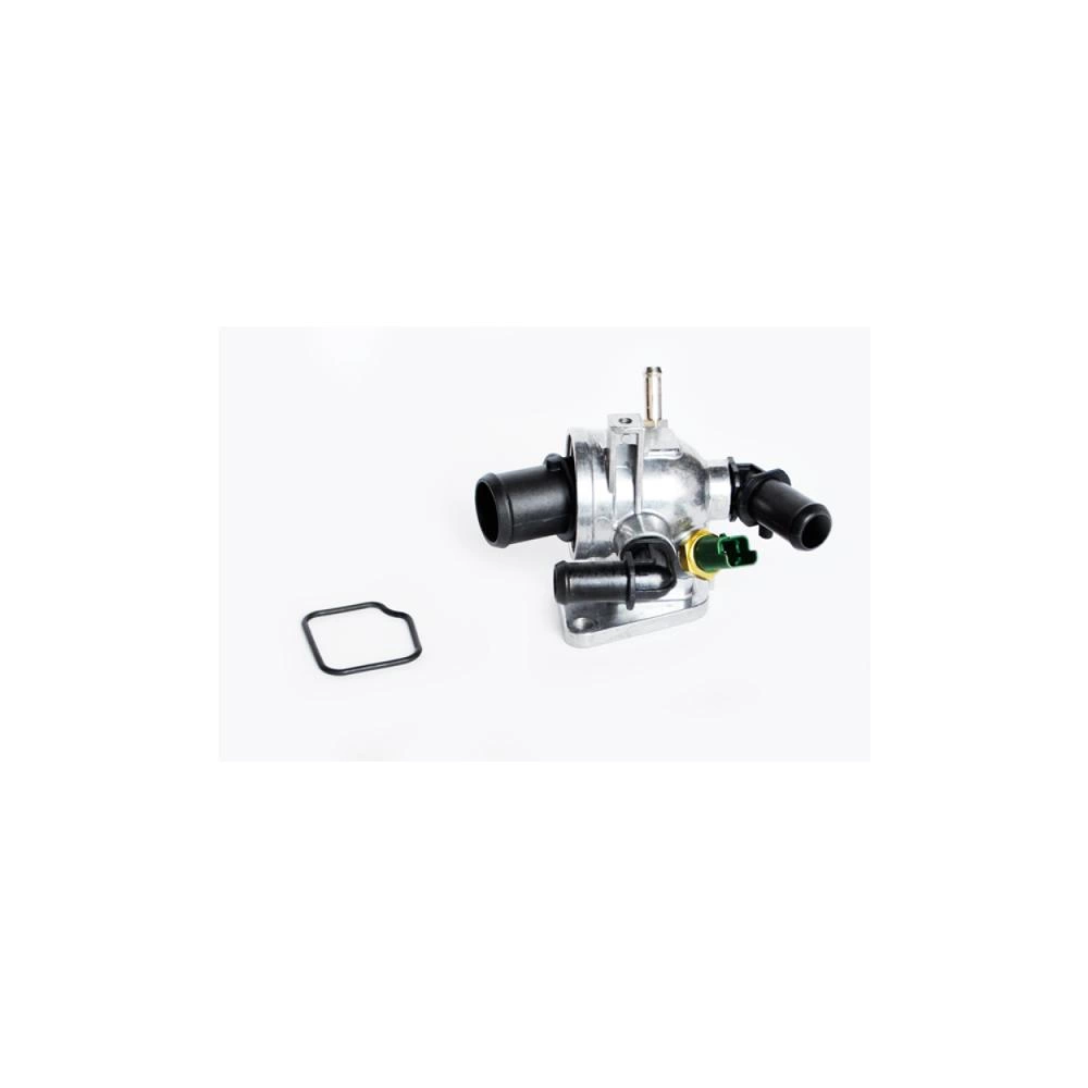 TERMOSTAT LICHID RACIRE