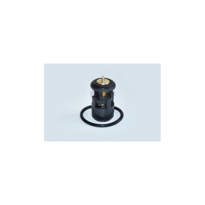 TERMOSTAT LICHID RACIRE