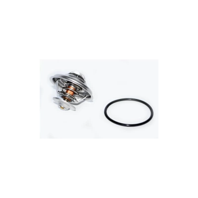 TERMOSTAT LICHID RACIRE