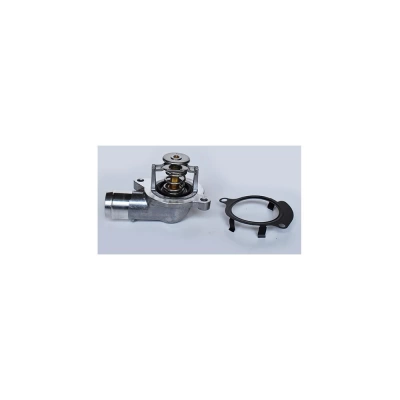 TERMOSTAT LICHID RACIRE