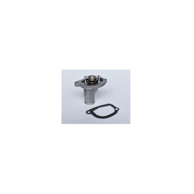 TERMOSTAT LICHID RACIRE