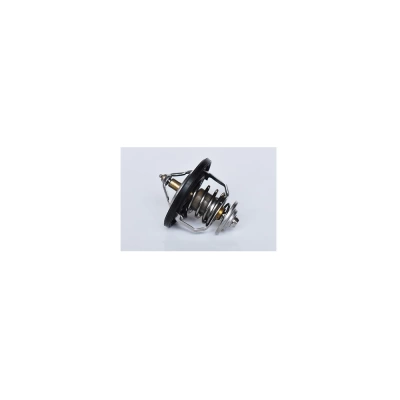 TERMOSTAT LICHID RACIRE
