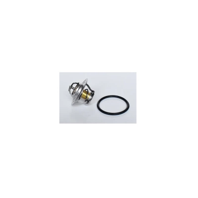 TERMOSTAT LICHID RACIRE