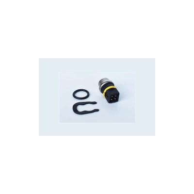 SENZOR TEMPERATURA LICHID DE RACIRE