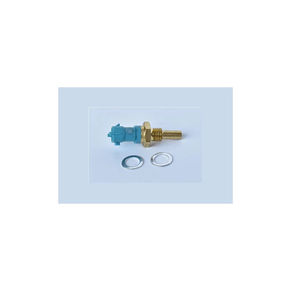 SENZOR TEMPERATURA LICHID DE RACIRE