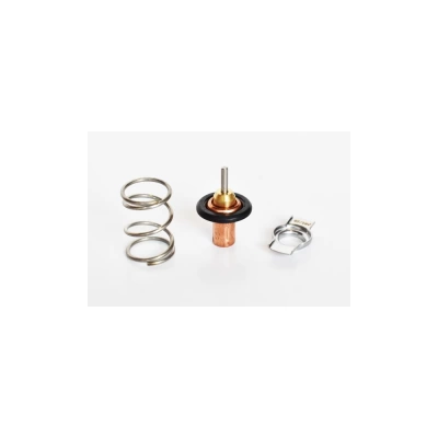 TERMOSTAT LICHID RACIRE
