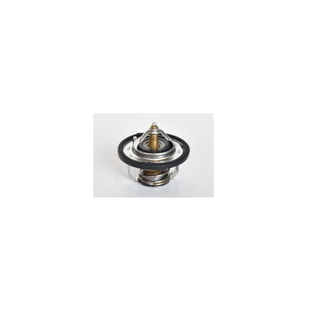 TERMOSTAT LICHID RACIRE