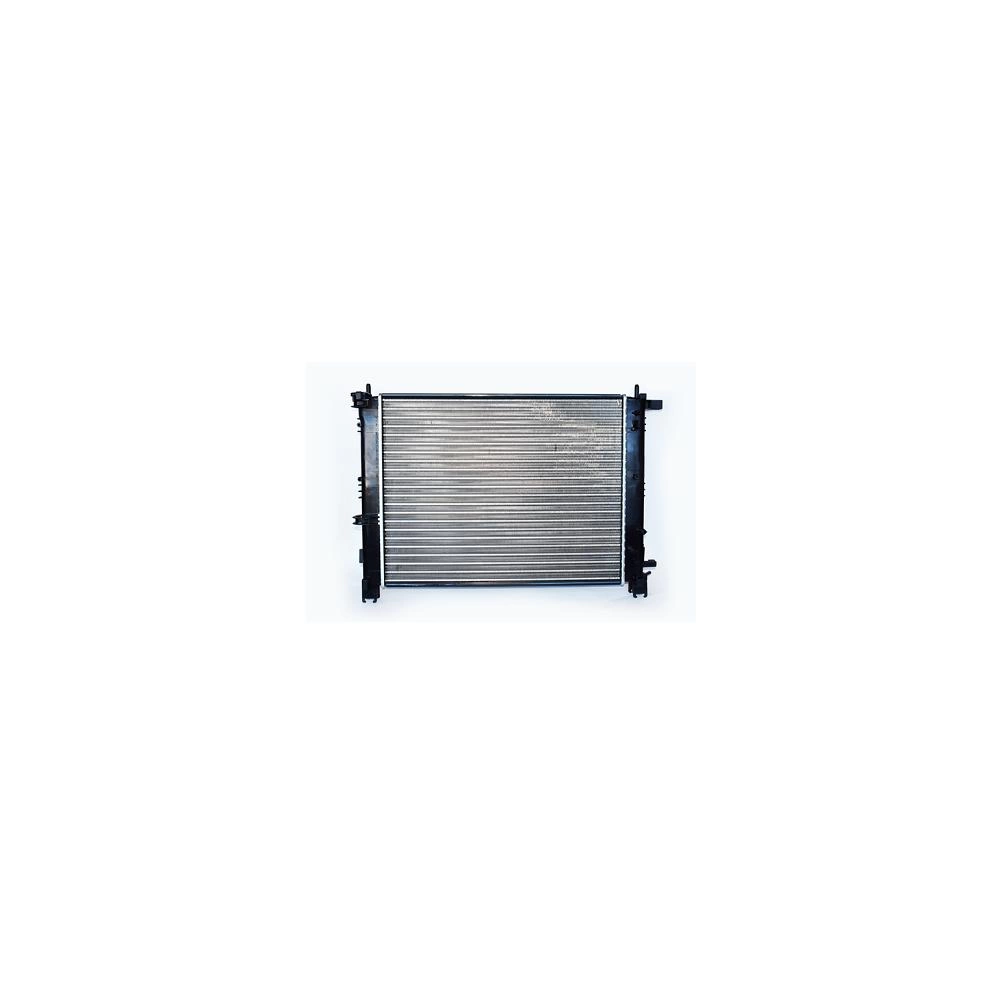 RADIATOR MOTOR