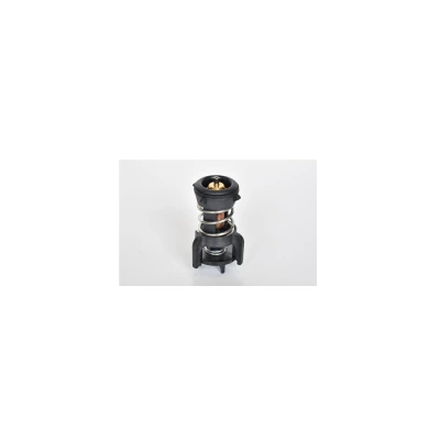 TERMOSTAT LICHID RACIRE