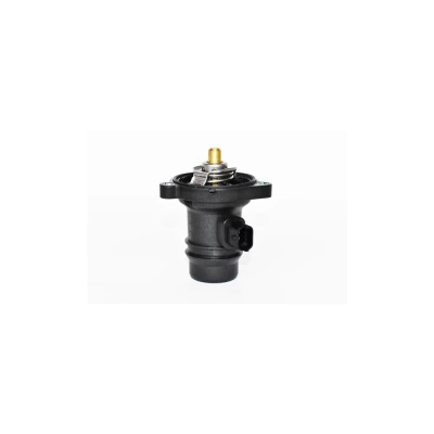 TERMOSTAT LICHID RACIRE