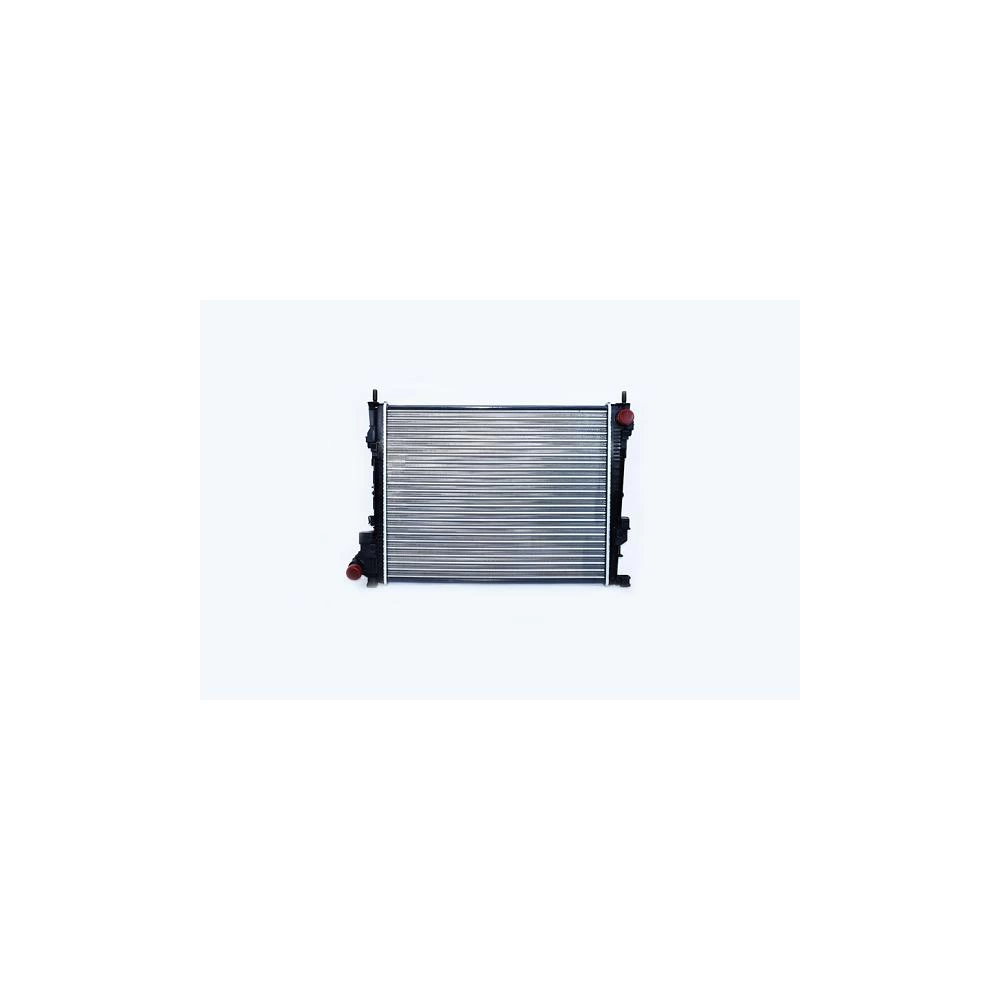 RADIATOR MOTOR