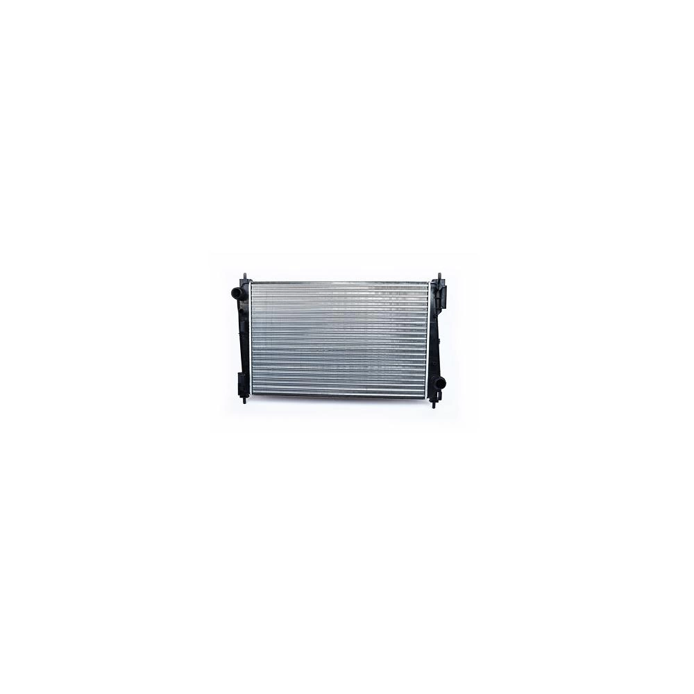 RADIATOR MOTOR