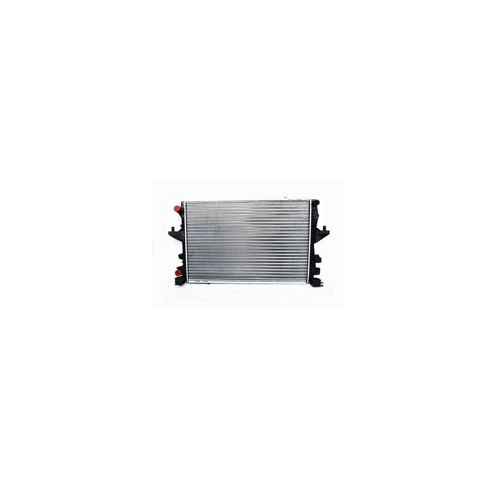 RADIATOR MOTOR