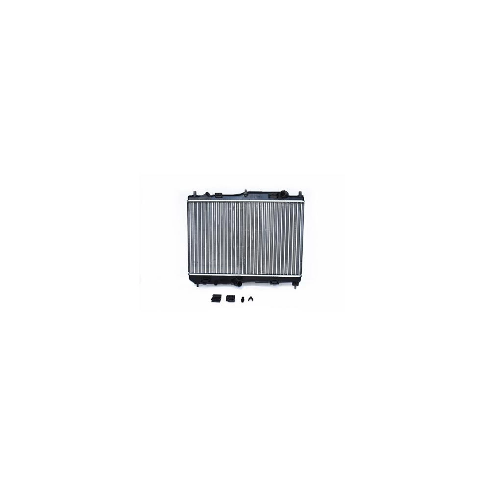 RADIATOR MOTOR