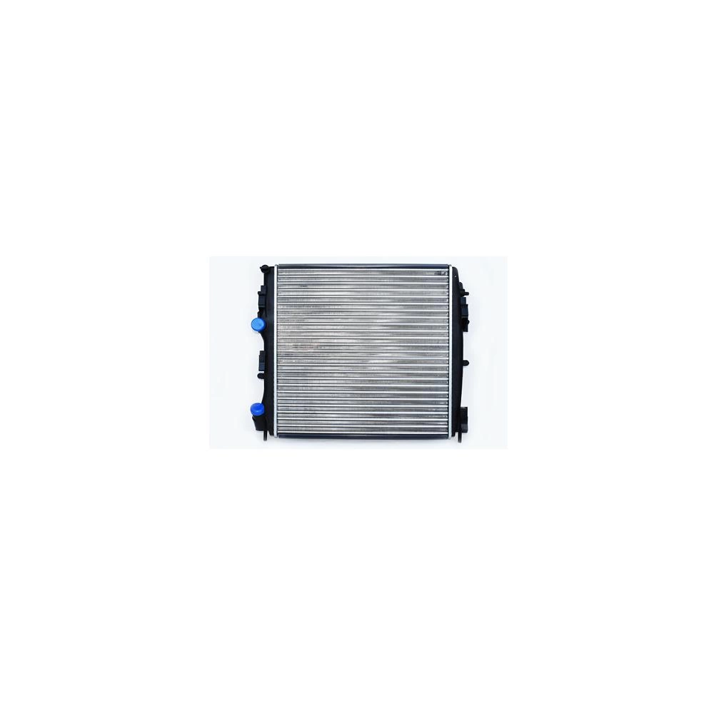 RADIATOR MOTOR