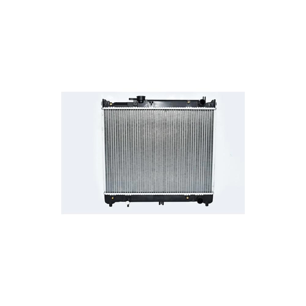 RADIATOR MOTOR