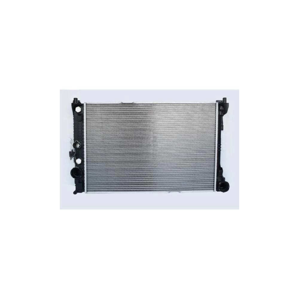 RADIATOR MOTOR