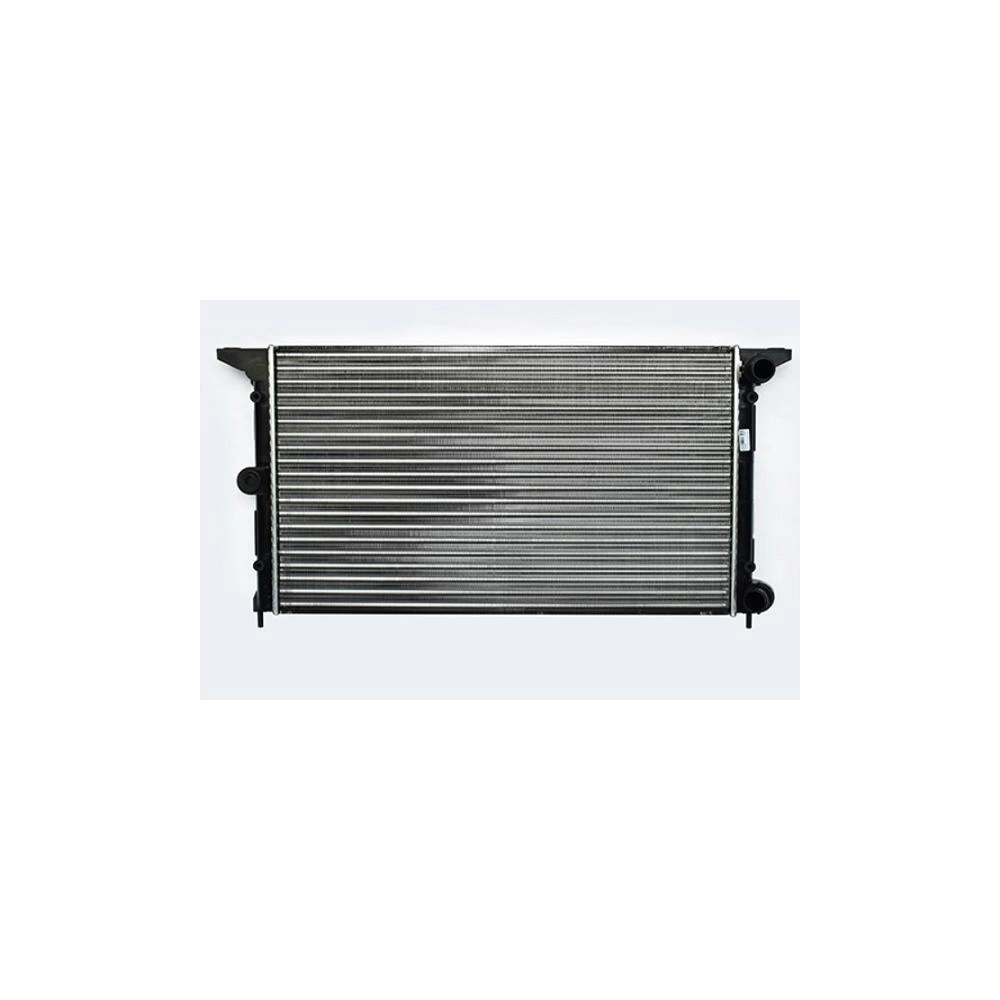 RADIATOR MOTOR