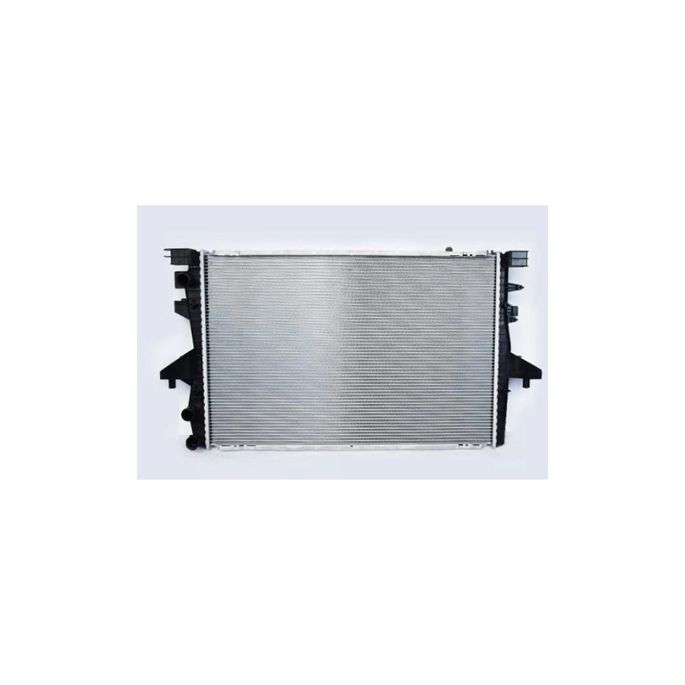 RADIATOR MOTOR
