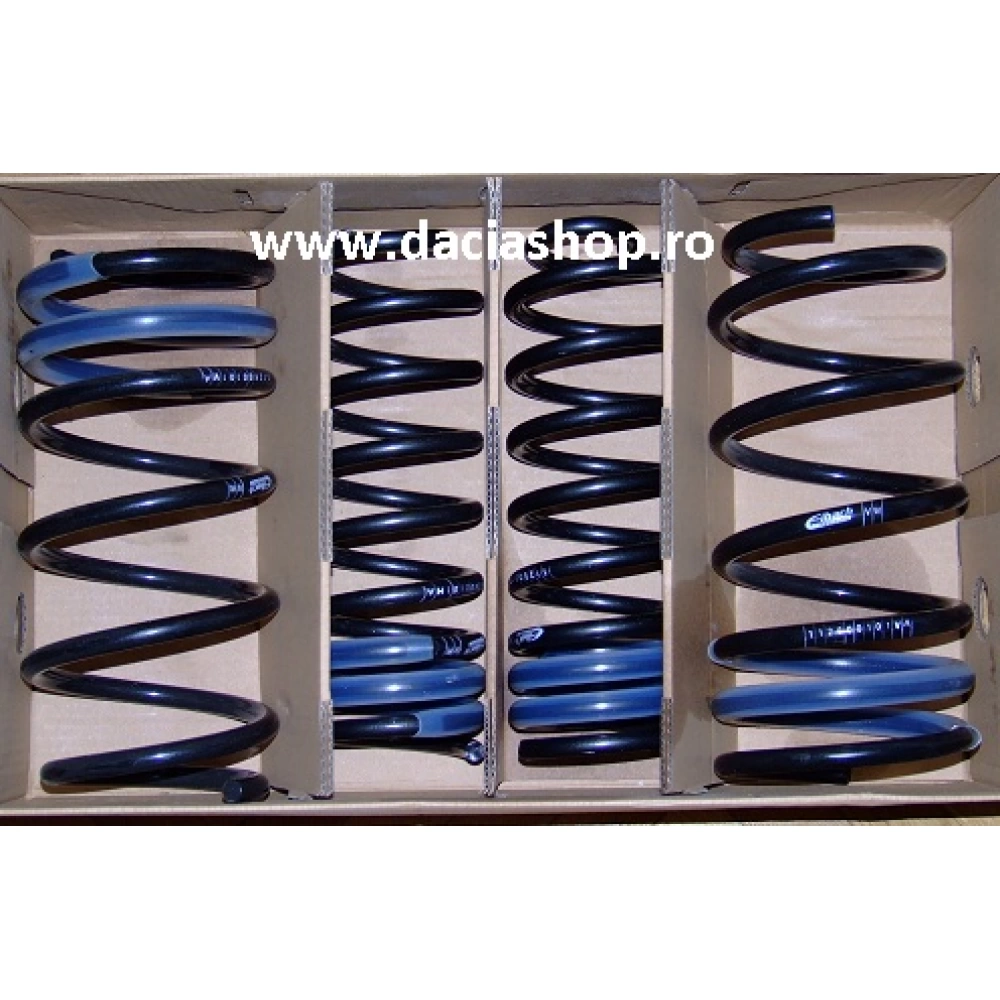 SET ARCURI SPORT EIBACH LOGAN1 